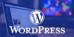 WordPress Hosting Nedir ve Neden Tercih Edilmelidir?